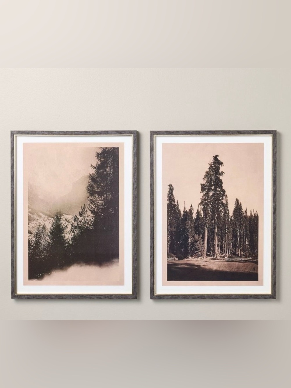 Vertical Vintage Tree Wall Art Set - Hearth & Hand™ with Magnolia 18x24